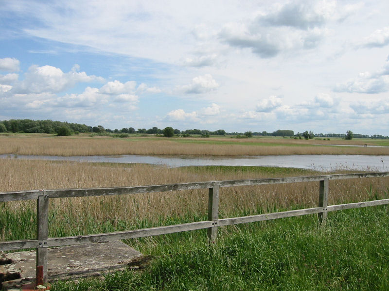 Sophienthaler Polder