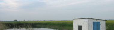 2613 Sietzing