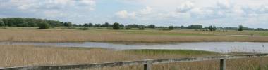 Sophienthaler Polder